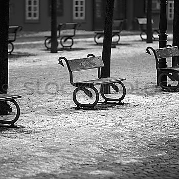Similar – Image, Stock Photo Tricycle in the Jardin des Plantes