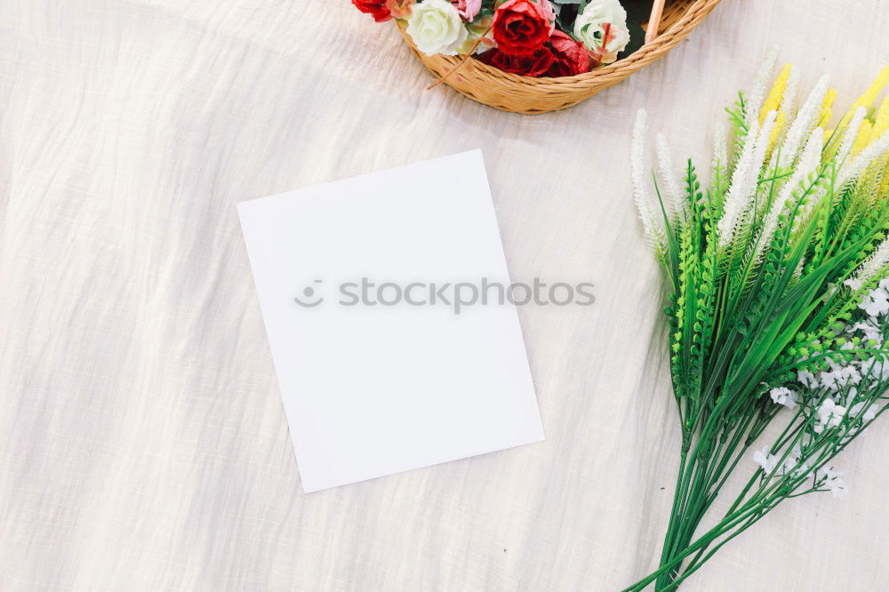 Similar – Image, Stock Photo Asparagus with ingredients on the kitchen table at the window