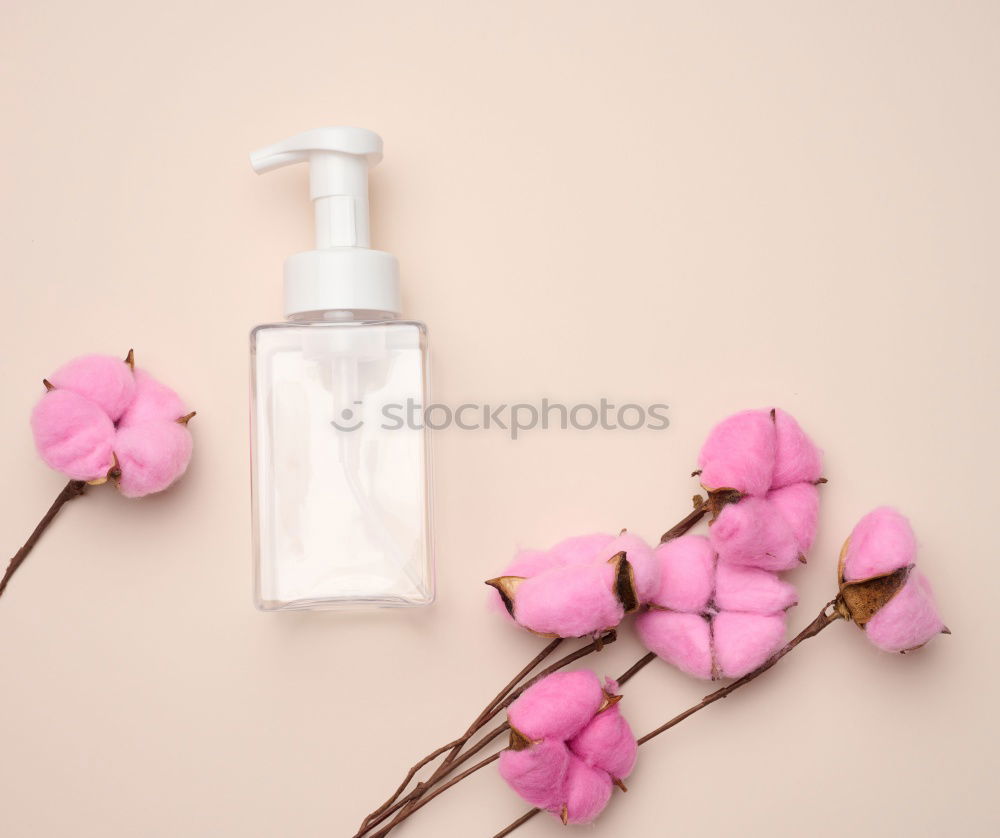 Similar – Image, Stock Photo Natural cosmetics with plants and flowers