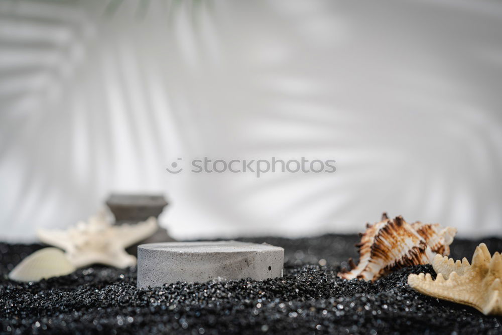 Similar – Image, Stock Photo Close up of cookie cutters in a dough on a dark table