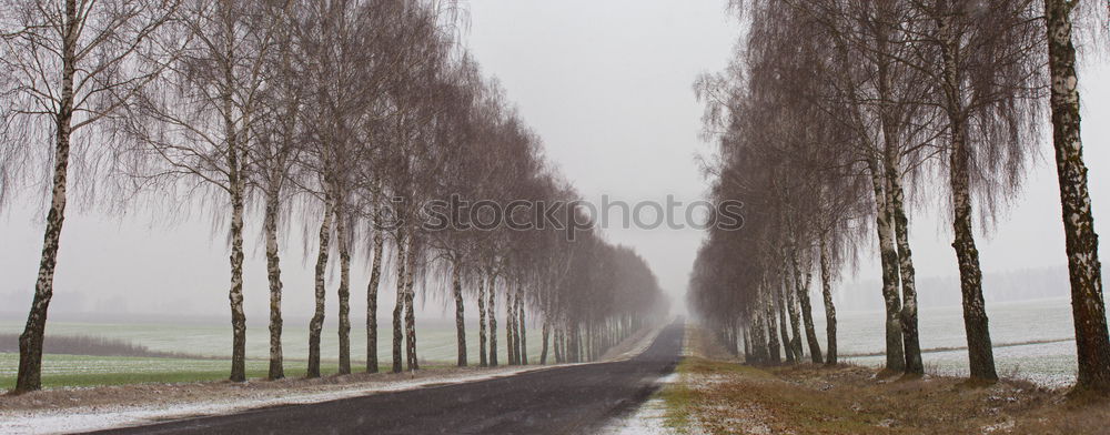 The way into the unknown