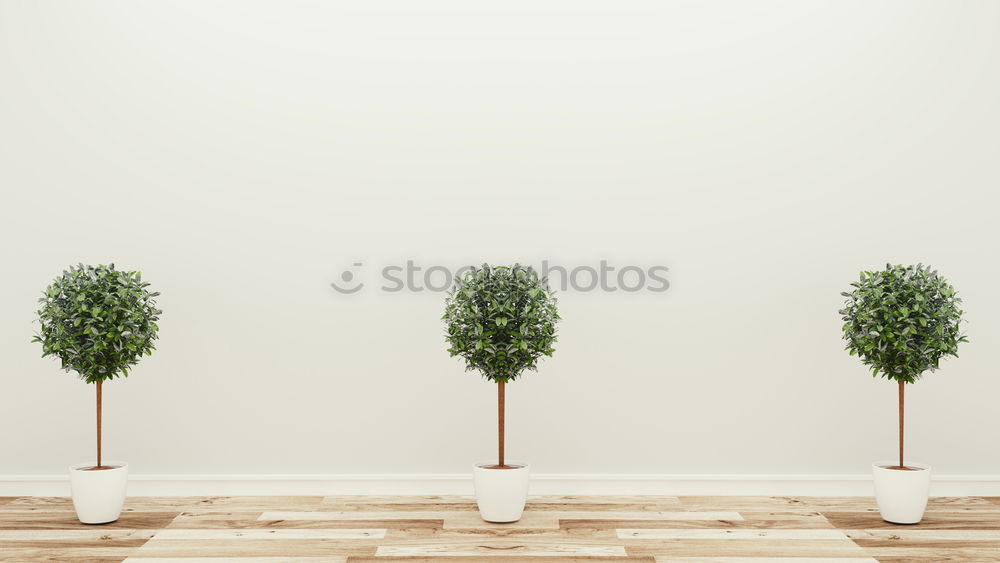 Image, Stock Photo What rhymes with herb pot?