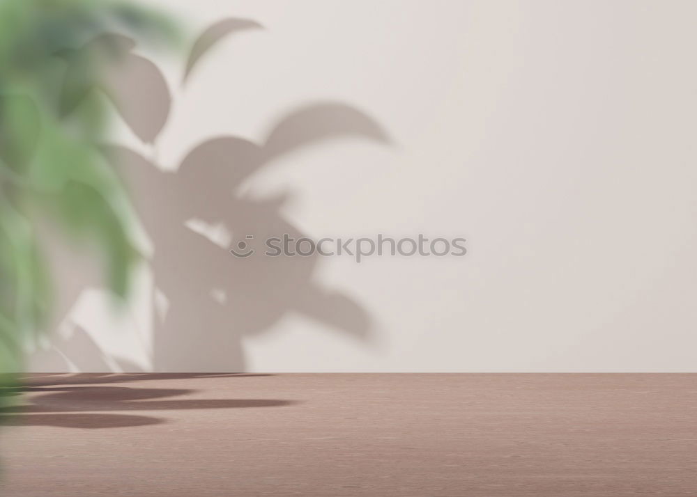 Similar – Image, Stock Photo shelf units