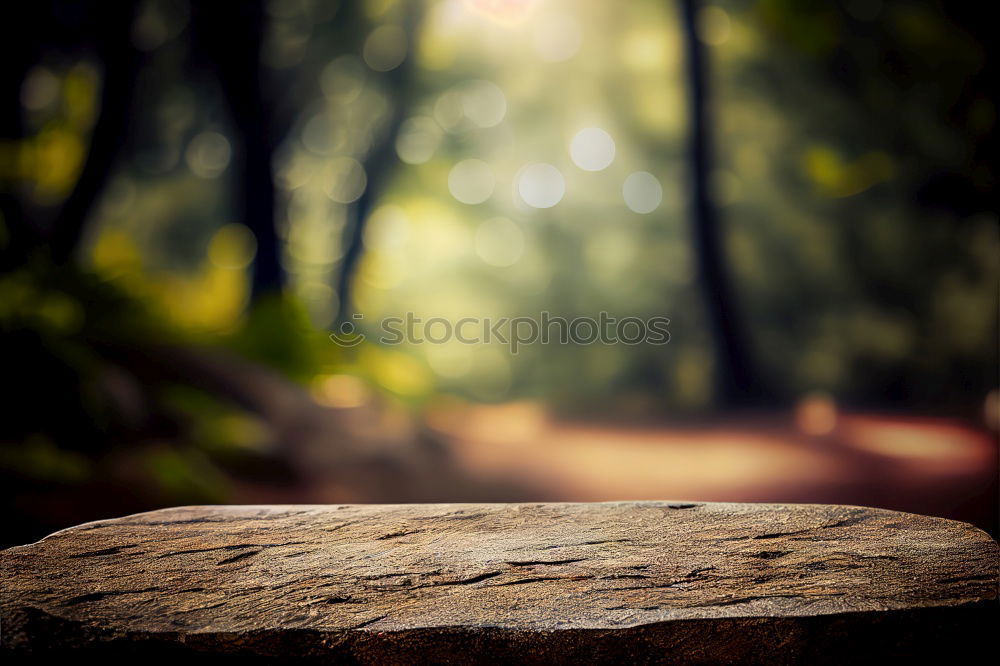 Similar – Image, Stock Photo :: 100 :: chilloutzone