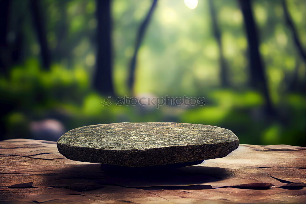 Similar – Image, Stock Photo escargot Landscape