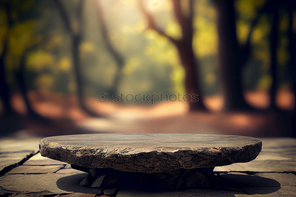 Similar – Image, Stock Photo escargot Landscape