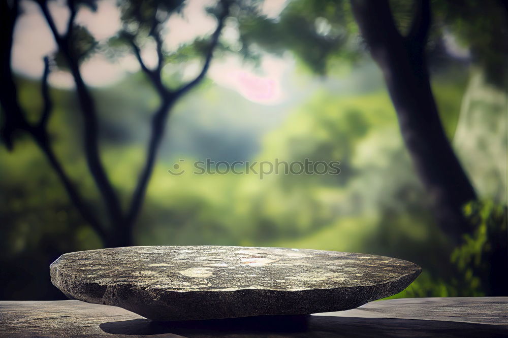 Similar – Image, Stock Photo escargot Landscape