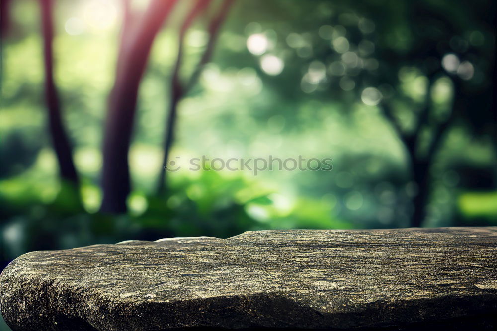 Similar – Foto Bild Auszeit Beine Fuß Baum