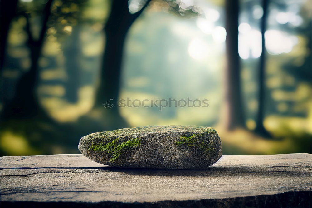 Similar – Image, Stock Photo Karl in Lenz Environment