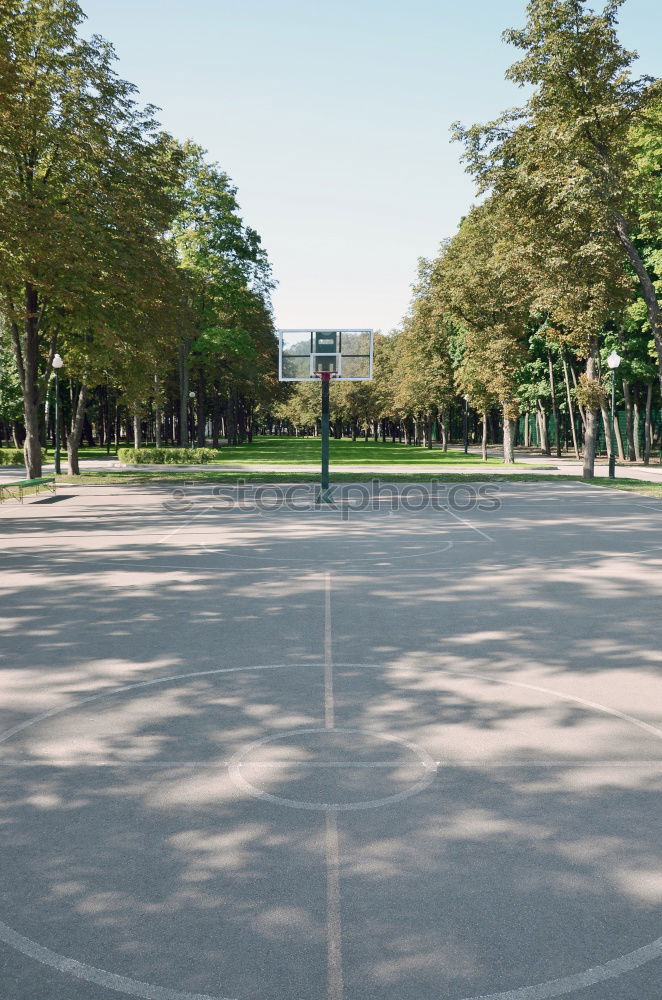 a basketball court on a backyard in Berlin