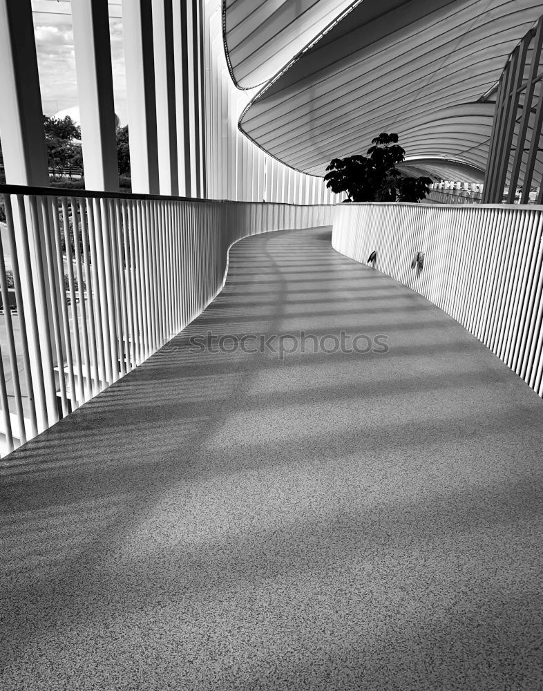 Similar – Image, Stock Photo Man in the light under a bridge