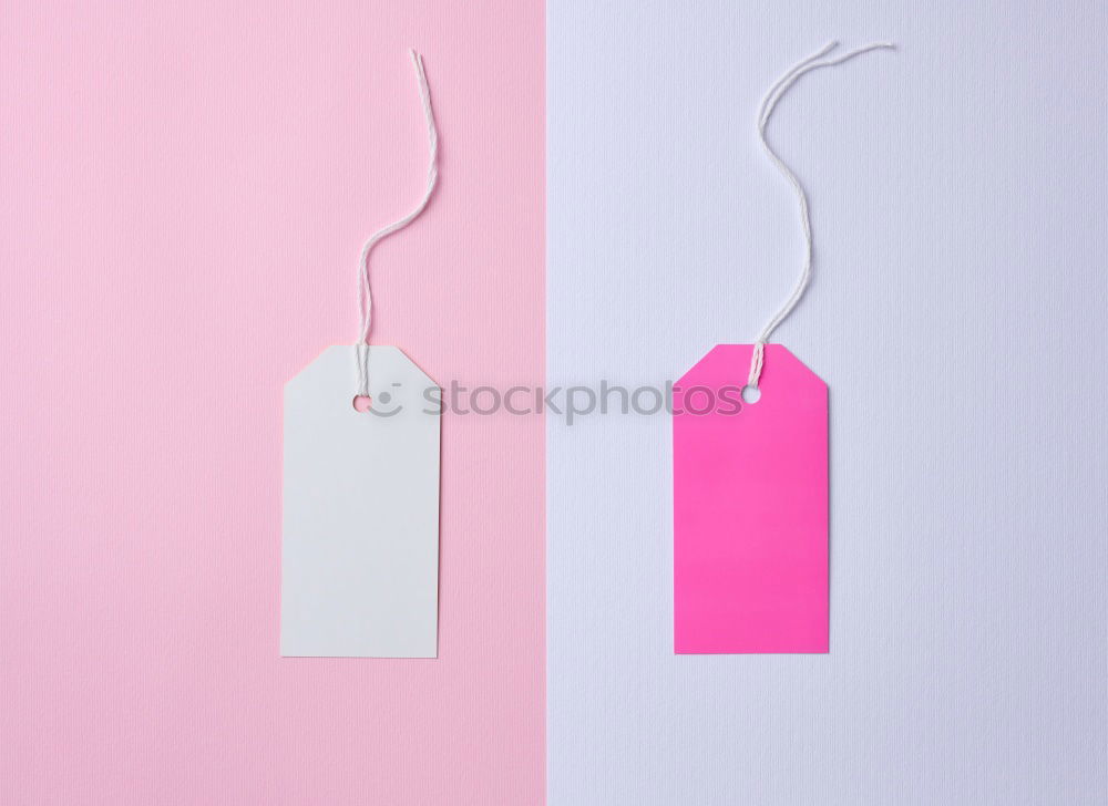 Similar – Image, Stock Photo white feather on blue and pink background