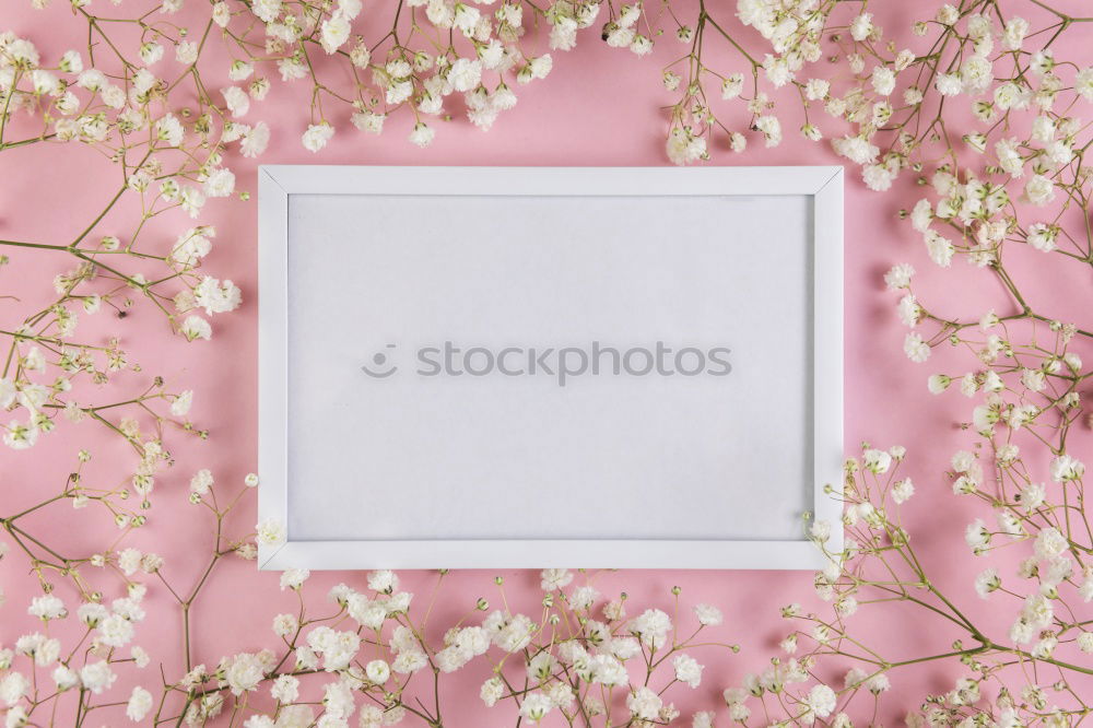 Similar – Image, Stock Photo Empty white greeting card on white flowers