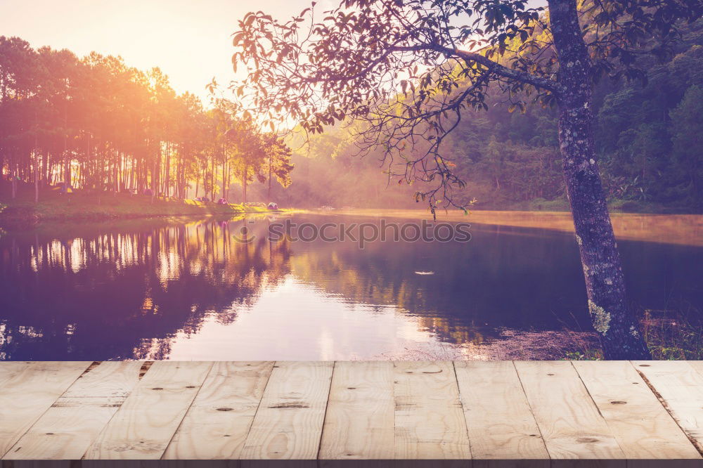 Similar – Image, Stock Photo paddling Human being