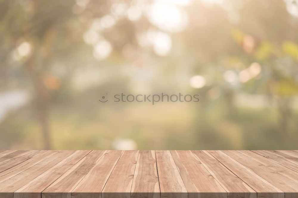 Similar – Image, Stock Photo autumn in the kita Joy