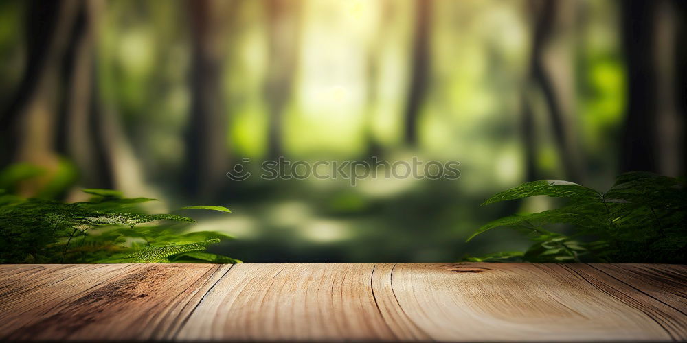 Similar – Image, Stock Photo Humid living conditions