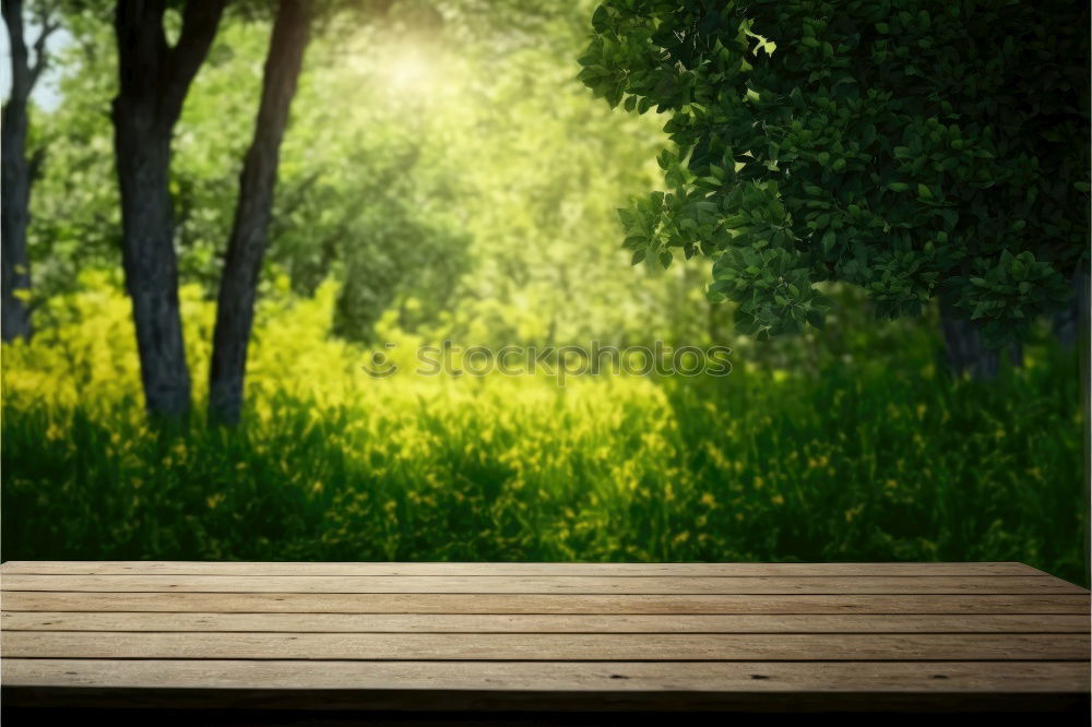 Similar – Image, Stock Photo Bird house on a tree among the green leaves