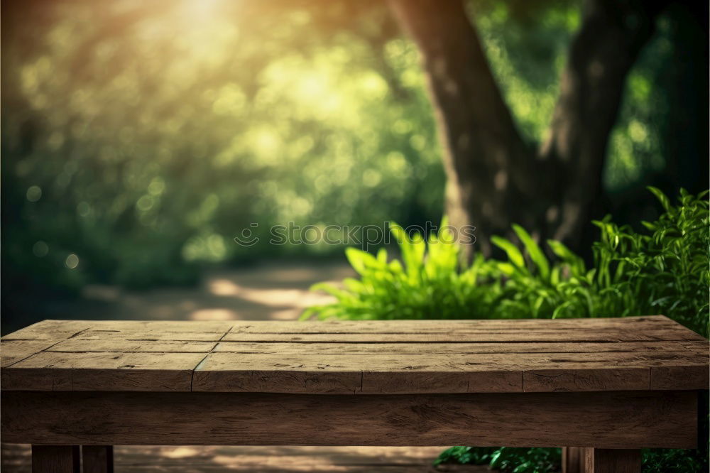 Similar – Image, Stock Photo ParkBank Park bench