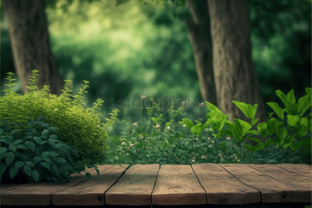 Similar – Image, Stock Photo Bird house on a tree among the green leaves