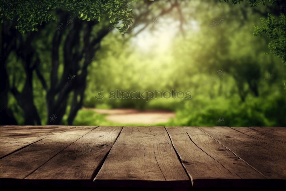 Image, Stock Photo stair floret Environment