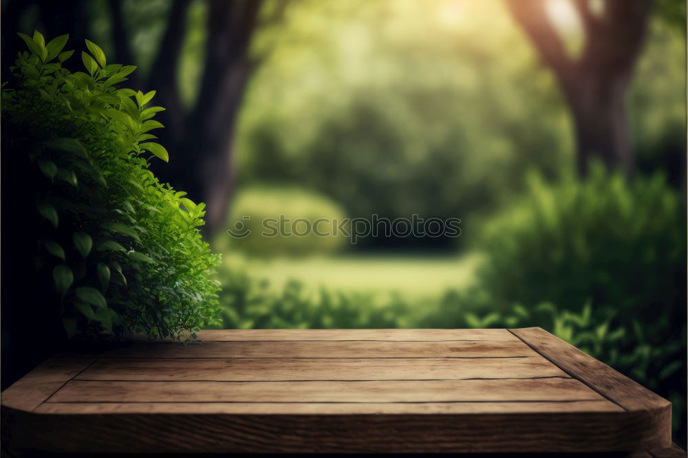 Similar – Image, Stock Photo Bird house on a tree among the green leaves