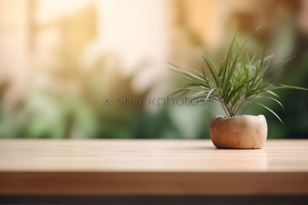 Blumen im Topf auf dem Tisch im Wohnzimmer