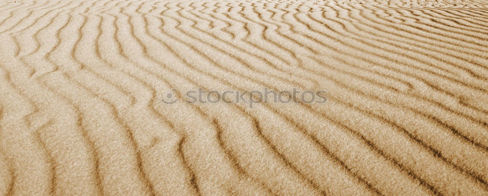 Similar – Image, Stock Photo Upper sixth Beach Coast