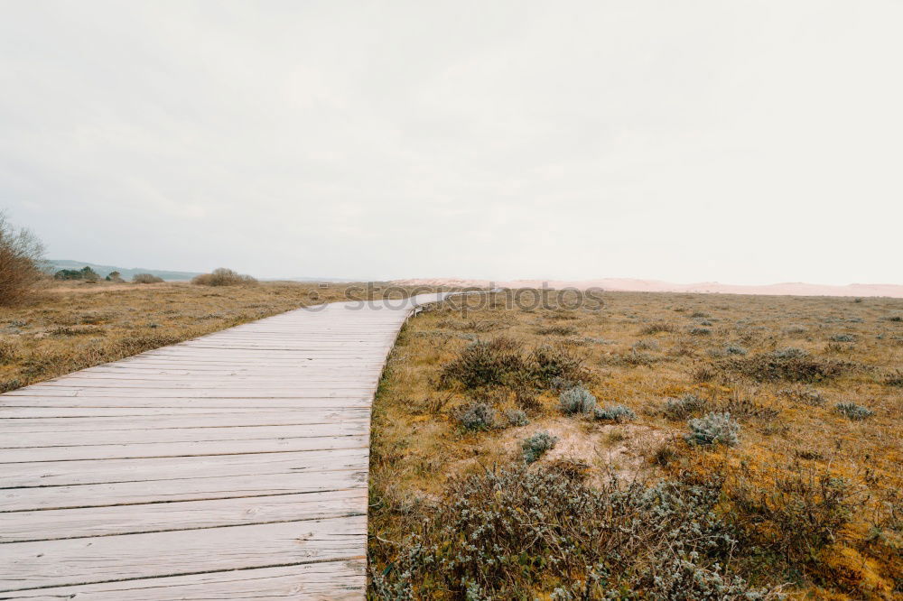 Similar – Image, Stock Photo autumn paths Nature