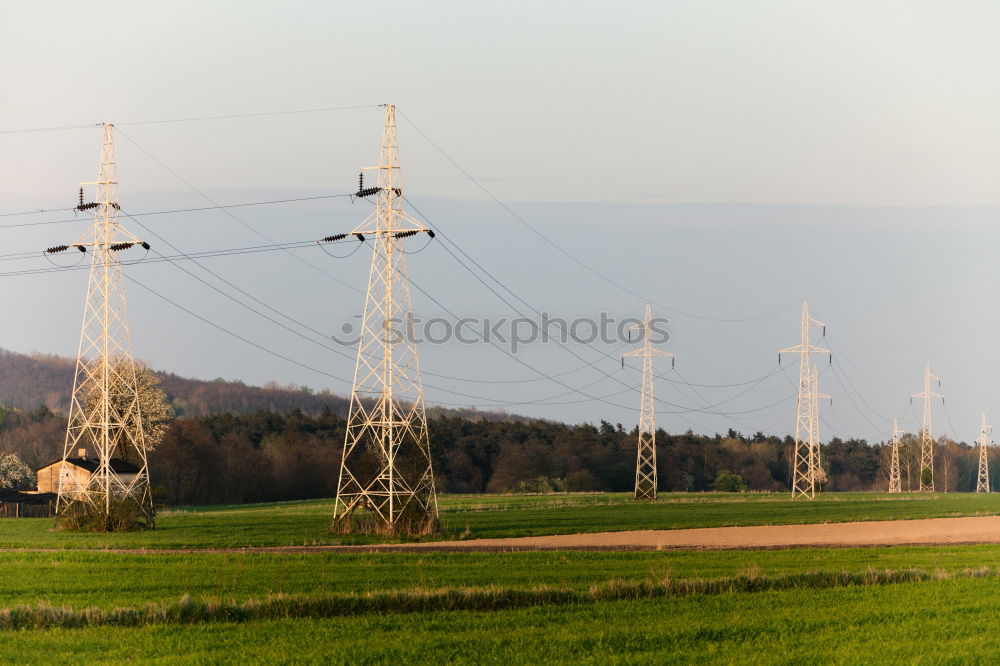 Similar – Image, Stock Photo My heart dances in all ways *