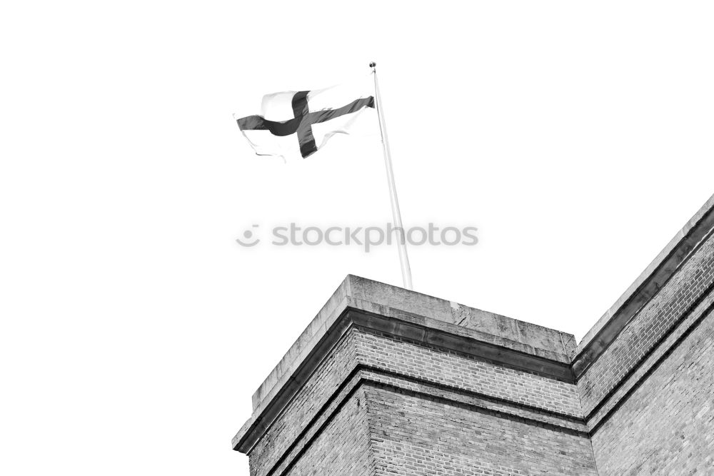 Similar – Image, Stock Photo day watch Pigeon Bird