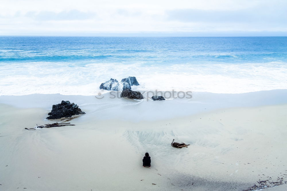 Similar – Image, Stock Photo puny /tree remains on a dune. Down the high sandy beach there are some smaller stones in front of the foaming light surf.