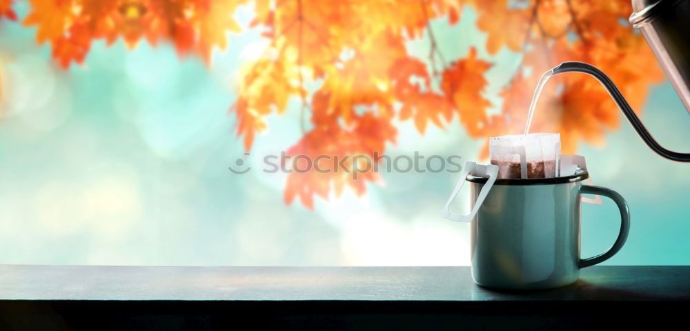 Similar – Image, Stock Photo Autumn bouquet of flowers in vase on the table by the window