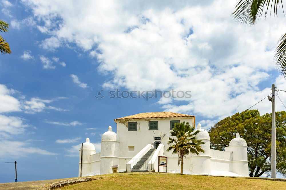 Similar – Image, Stock Photo Salvador da Bahia