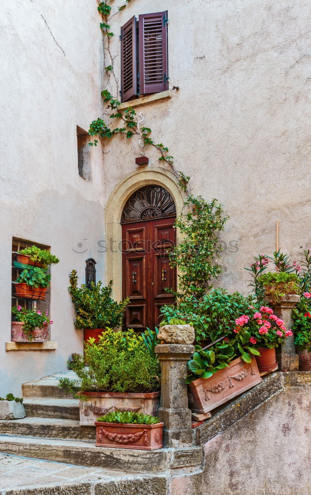 Similar – Image, Stock Photo Rustic flower pots in Cadaques, Spain