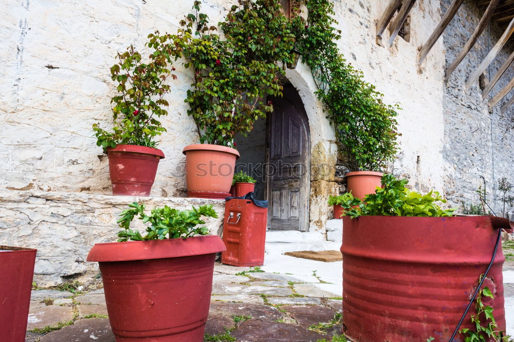 Similar – Image, Stock Photo Rustic flower pots in Cadaques, Spain