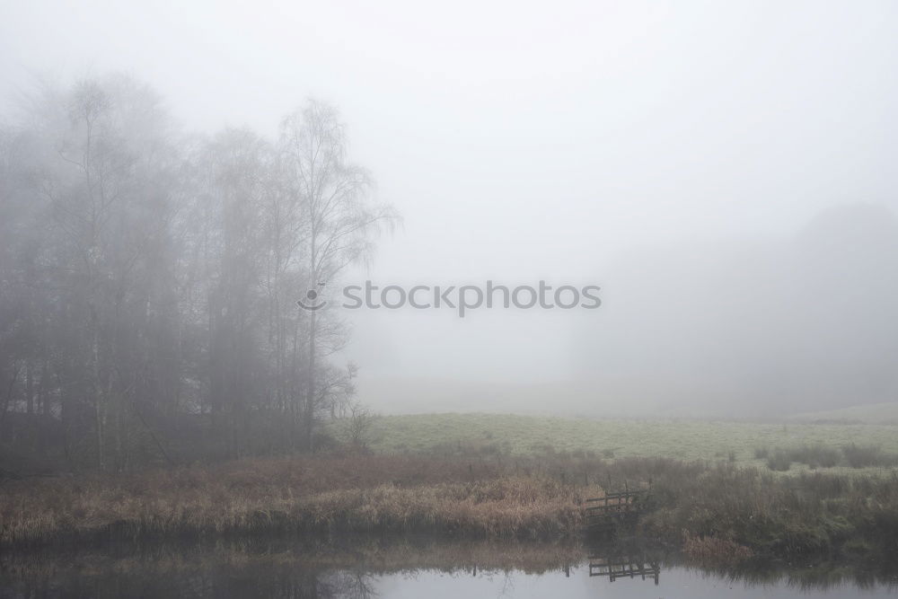 Similar – clouds of fog Mountain