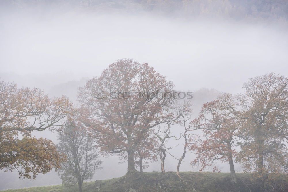 Similar – Foto Bild Herbst im Bergischen Land