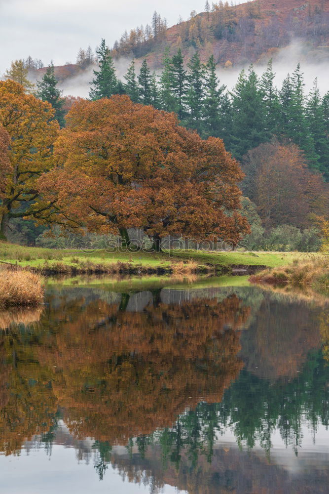 Similar – Foto Bild Kylemore Abbey in Irland