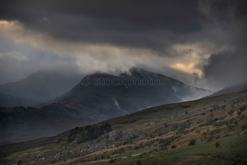 Similar – Image, Stock Photo In the evening on the hill