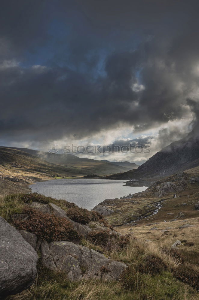 Similar – Late summer in Scotland