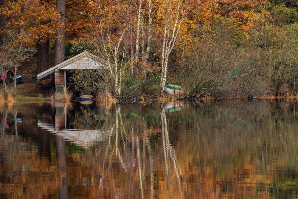 Similar – torii Nature Landscape