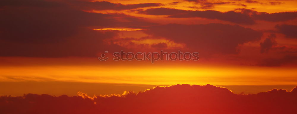 Similar – Foto Bild Sonnenuntergang Baum rot