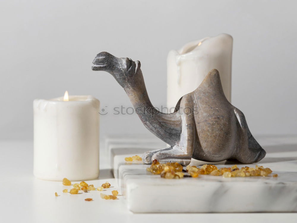 Similar – Image, Stock Photo Baltic Sea mix Sand Beach