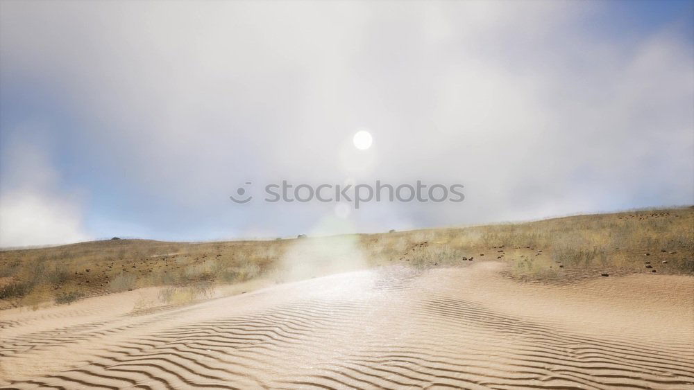 Similar – strand Meer Strand