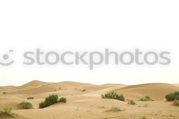 Similar – Image, Stock Photo Abu Dhabi {For House Capri, except for Time ;-) }