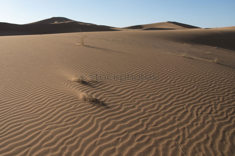 Similar – spuren im sand