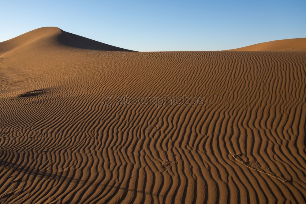 Similar – red sand Environment