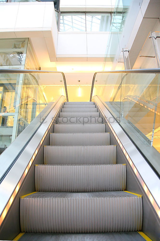 Staircase Wood Glass House of Representatives Berlin