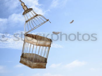 Image, Stock Photo celestial blocks Pavilion