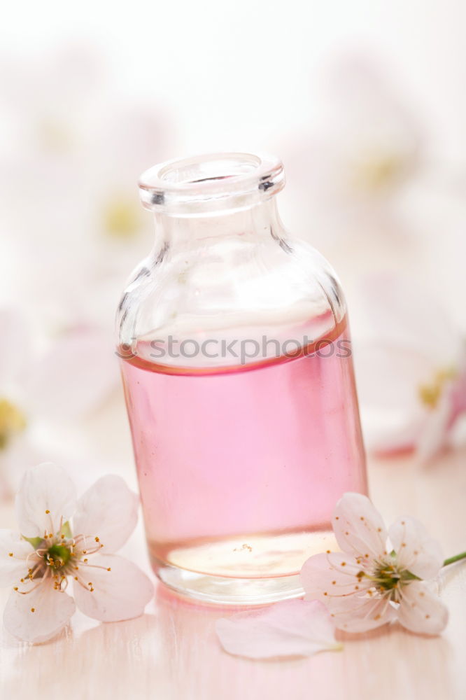 Similar – Image, Stock Photo Beauty and skin care products